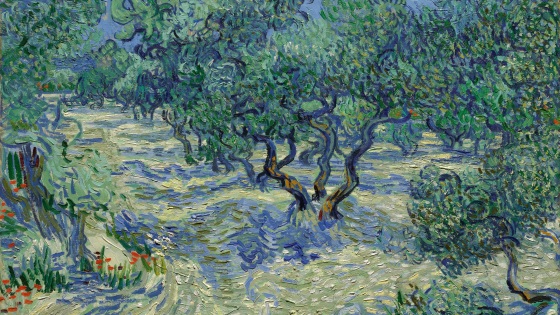 Vincent van Gogh Olive Orchard 4K 16 9